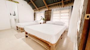 Glampyn amazonic colibri