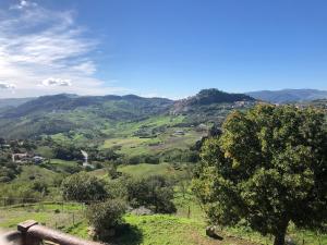 Villa Pietralunga in the woods