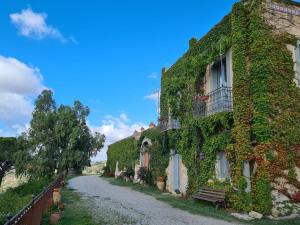 Villa Pietralunga in the woods