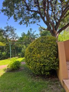 Maisons de vacances Residence LO MONACO Haut de villa, Appartements et Studios : photos des chambres