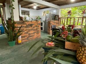 Glampyn amazonic colibri