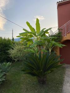 Maisons de vacances Residence LO MONACO Haut de villa, Appartements et Studios : Maison 2 Chambres