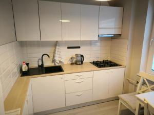 Serviced apartment Purvciems