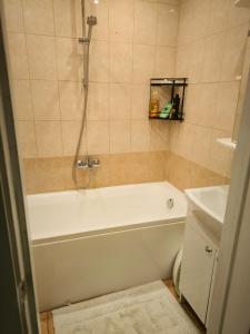 Serviced apartment Purvciems