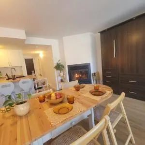 Warm & cozy loft full of light, Ski-in Ski-out - Saint-Raymond