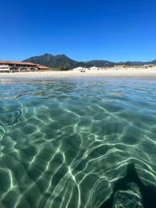 Maisons de vacances Residence LO MONACO Haut de villa, Appartements et Studios : photos des chambres