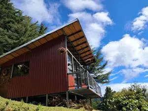 Altura House - División