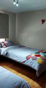 Casa Central en Villarrica