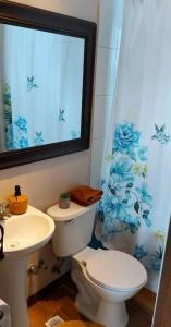 Casa Central en Villarrica