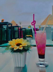 Sunshine Pyramids Inn