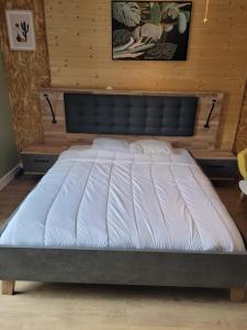 Appartements L'Edelweiss : Appartement 1 Chambre