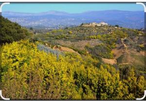 Appartements Studio independant climatise : photos des chambres