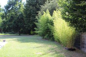 B&B / Chambres d'hotes Aux p'tits bonheurs la grange : photos des chambres