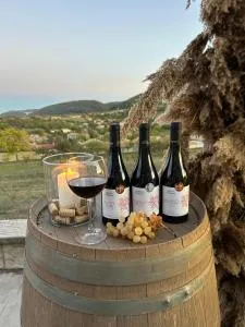 Villa Ovcharovo - 泽拉夫纳