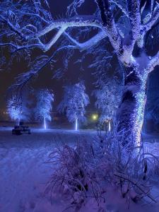 Seeblickappartement -Eure Zeit- mit Balkon