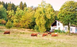 Haus am Brand in Gehlberg nahe Rennsteig Oberhof