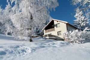 Haus am Brand in Gehlberg nahe Rennsteig Oberhof