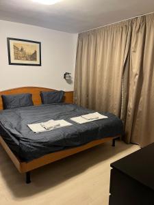 Cozy Apartament in City Centre by the Park