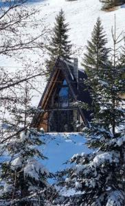 Wolf House Jelovica