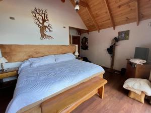 Casa a orilla de Lago Panguipulli