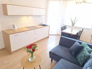 Grand Apartament - prywatny parking, blisko Szpital Arkońska