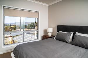 Aspect 2 8 Poley Cow