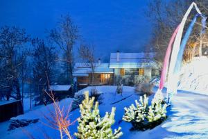 Consulat des Elohim chez Allan et Lili-Peace