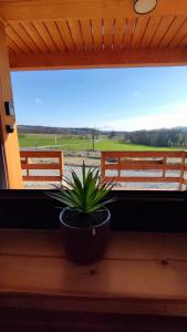 Górska Oaza - kotlina Kłodzka