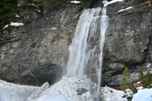 Consulat des Elohim chez Allan et Lili-Peace