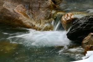 Consulat des Elohim chez Allan et Lili-Peace