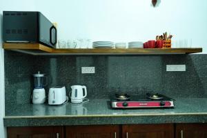 Bluelip Ceylon Weligama