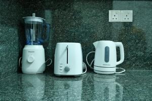 Bluelip Ceylon Weligama