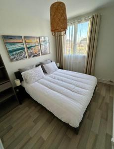 Cocon Cosy Verdoyant - Free Private Parking, Breakfast, Wifi, Netflix