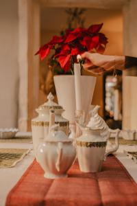 Maisons d'hotes La Maison du Village : photos des chambres