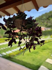 Cabaña La Sanguina 8 Pax