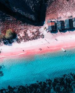 KOMODO TRAVELCATIONS Full Day trip Komodo by Speed Boat