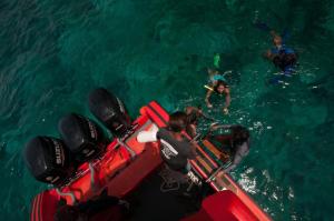 KOMODO TRAVELCATIONS Full Day trip Komodo by Speed Boat