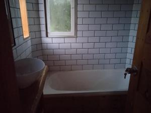 Peaceful cabin in the woods