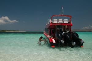 KOMODO TRAVELCATIONS Full Day trip Komodo by Speed Boat