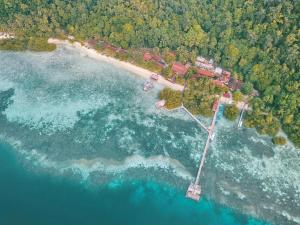 Raja Ampat Dive Lodge