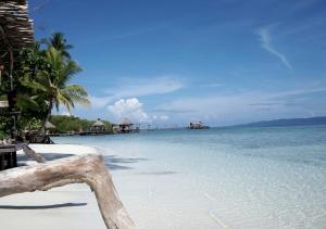 Raja Ampat Dive Lodge