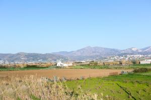 Juliana's House Naxos Greece