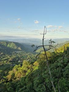 El Paraiso en La Montaña