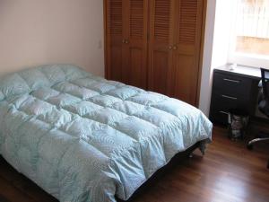 Comfy Quiet Apartment in Zona G Rosales