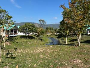 ฟาร์มผัก Thank you