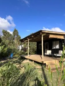 Chi Manga - 何塞伊格纳西奥