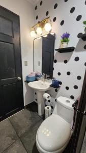 Tropical Noir at Family Lodge