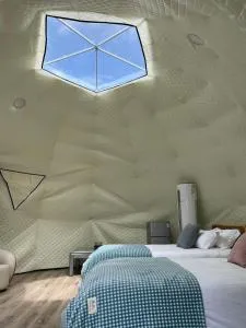 Twinkle Orchard Camp - Kumeu