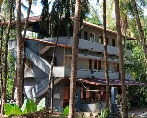 Palm vista - Bārkūr