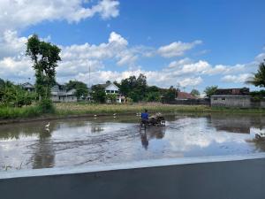 Tepi Sawah Syariah Homestay